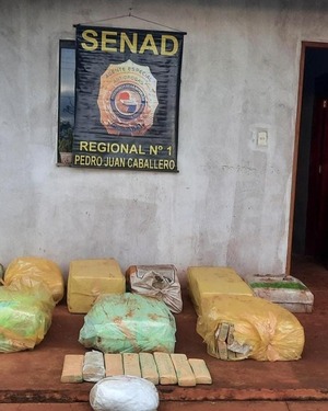 Depósito de droga en Amambay: Senad incautó más de 300 kilos de marihuana - Unicanal