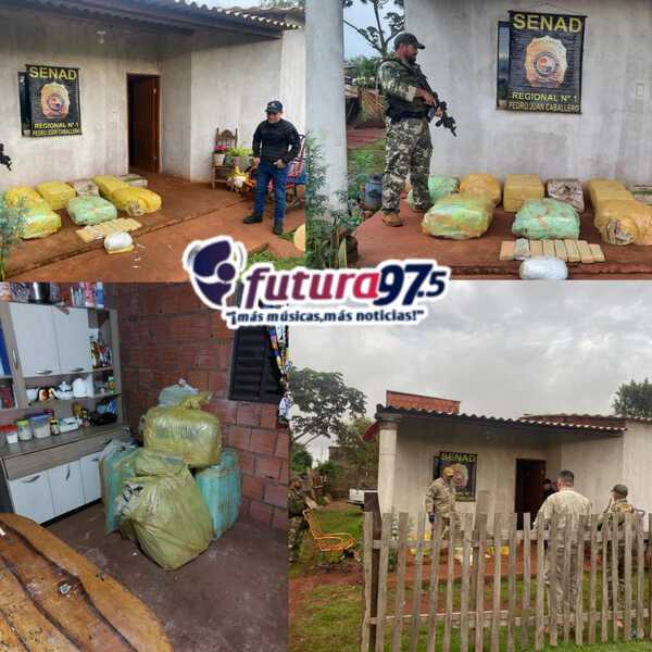 SENAD incautó más de 300 kilos de marihuana en la Colonia Mafusi