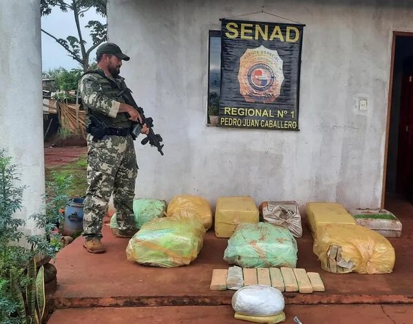 Incautan más de 300 kilos de marihuana prensada oculta en vivienda de Pedro Juan Caballero - Policiales - ABC Color