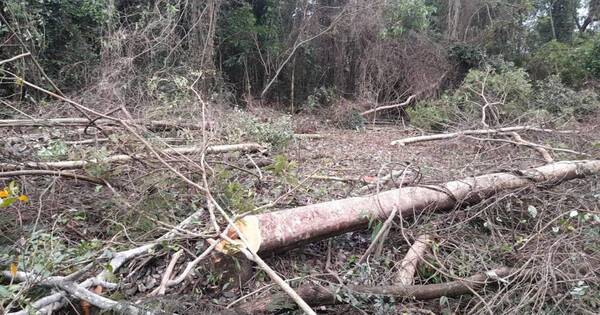 La Nación / Familia denuncia ser víctima de invasión de inmueble, delito ambiental y robo agravado en Caaguazú