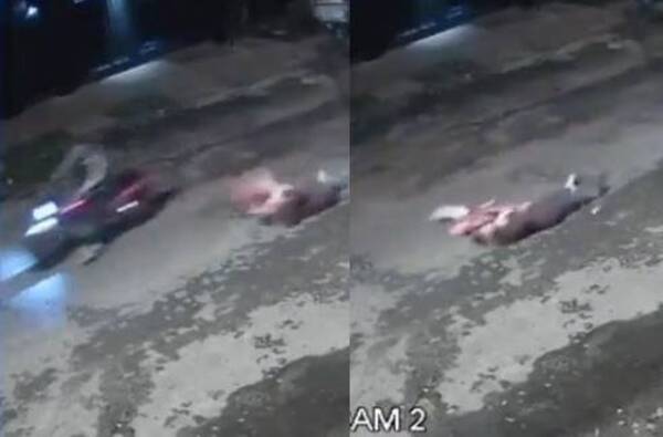 Crónica / Cada mes, unos 28 niños son atendidos debido a accidentes en moto