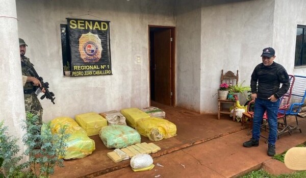 SENAD incauta más de 300 kilos de marihuana en la Colonia Mafusi