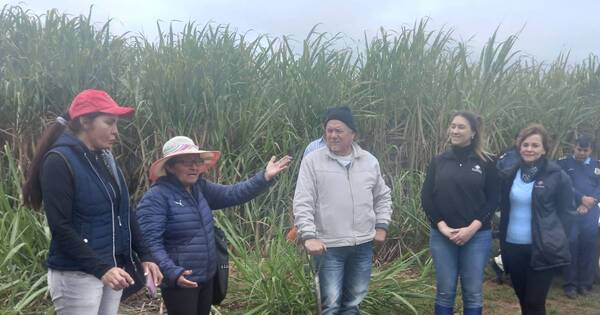 La Nación / Inician búsqueda de restos de campesinos desaparecidos durante la dictadura