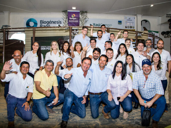 Bangor vendió los 80 torazos de Don Pedro a más de Gs. 18 millones de promedio