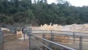 ¡Impresionante! Imágenes de las Cataratas del Yguazú en volumen considerable | Noticias Paraguay