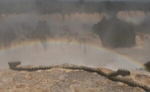 Cataratas: Caudal de agua está 11 veces superior a la media