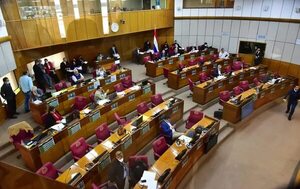 Préstamo Becal por US$ 30 millones logró aprobación en Cámara de Senadores - Nacionales - ABC Color