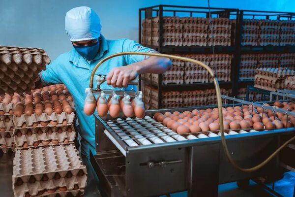 Nutrihuevos realizará varias actividades - Empresariales - ABC Color