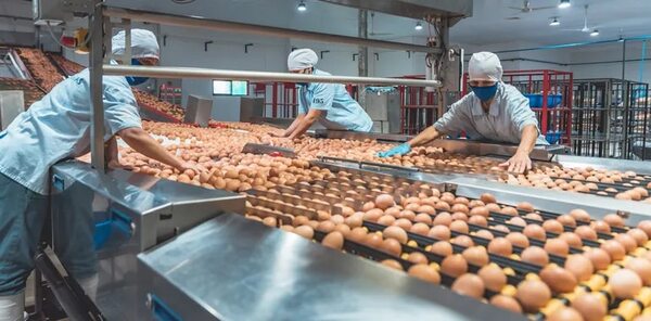 Un alimento con varios aportes - Empresariales - ABC Color