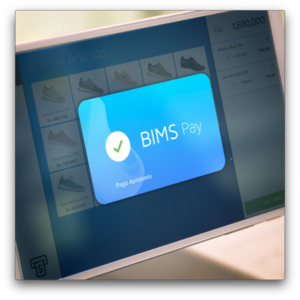 Bims Pay, la nueva alternativa de pago en línea