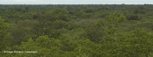 WWF advierte gran amenaza al ecosistema por explotación de hidrocarburos en parque nacional - MarketData