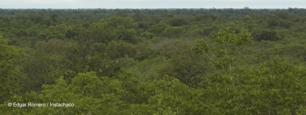 WWF advierte gran amenaza al ecosistema por explotación de hidrocarburos en parque nacional - MarketData