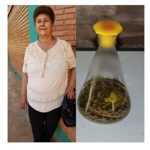 SEÑORA RELATA SU CALVARIO: “ME HICIERON PAYÉ Y PARÍ TRES VÍBORAS” - La Voz del Norte