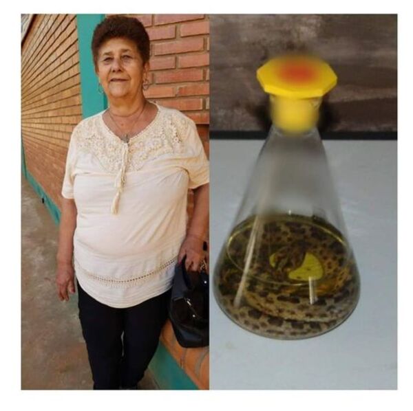 SEÑORA RELATA SU CALVARIO: “ME HICIERON PAYÉ Y PARÍ TRES VÍBORAS” - La Voz del Norte