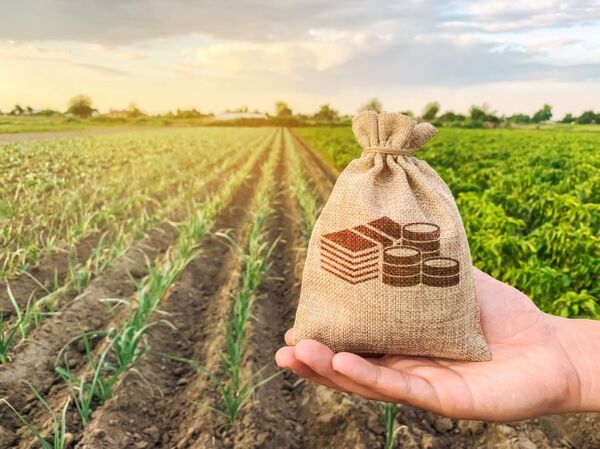Repunte económico del 2023 provendrá del agro, la ganadería y las inversiones privadas, según el Gobierno - MarketData