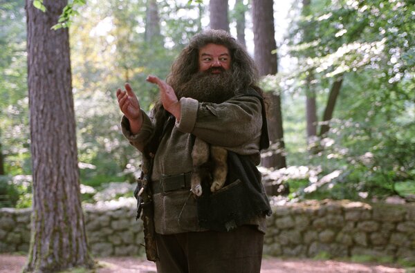 Falleció Robbie Coltrane, actor que interpretó a Hagrid en “Harry Potter” | 1000 Noticias