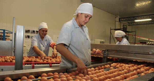 La Nación / Día Mundial del huevo: destacan estabilidad pese a que contrabando sigue siendo el principal problema