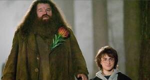 Crónica / Ñandereja "Hagrid", el bonachón de la saga "Harry Potter"