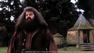 Muere con 72 años el actor Robbie Coltrane, Hagrid en la saga de "Harry Potter"