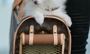 Glamour total: Mirá como sale a pasear “Baby Blue” con Nadia Ferreira