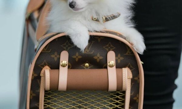 Glamour total: Mirá como sale a pasear “Baby Blue” con Nadia Ferreira