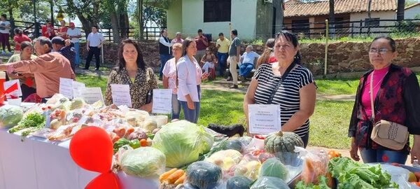 Productores agrícolas y artesanos de lana piden mayor asistencia al Gobierno Nacional - Nacionales - ABC Color