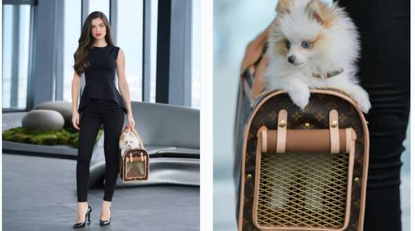 Crónica / ¡Nde tavy! ¡Nadia Ferreira pasea a su perrita en un bolso de 35 millones!