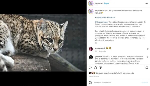 Tiríka y otros animales que viven en el Parque Nacional Médanos del Chaco - Política - ABC Color