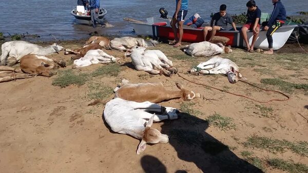 Pequeños productores fueron sorprendidos por la crecida del río Paraná - Nacionales - ABC Color