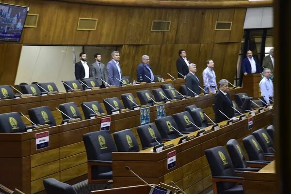 Presentan proyecto sobre “lobistas” en Diputados - Política - ABC Color