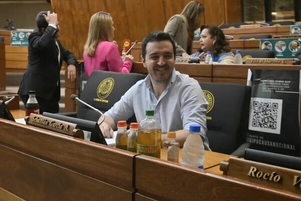 Virtualidad se torna peligrosa para institucionalidad, advierte diputado García - Política - ABC Color