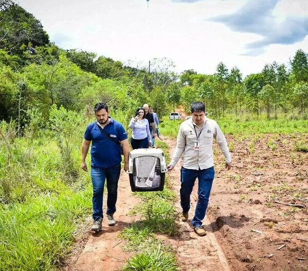 Liberan a Tirika en su hogar tras su recuperación