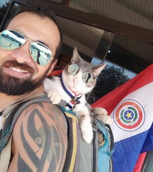 Justicia para el gato | 1000 Noticias