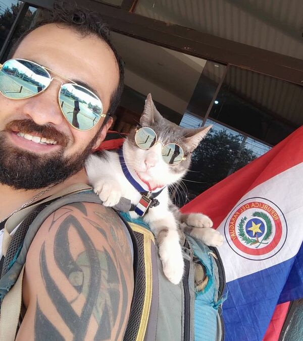 Justicia para el gato | 1000 Noticias