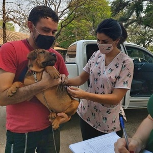 Mañana realizarán vacunación antirrábica y antiparasitaria en la Costanera - Unicanal
