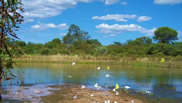 Solicitan rechazar la explotación del parque Médanos del Chaco