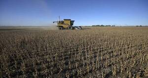La Nación / Repunte económico dependerá de la evolución del sector agrícola y ganadero