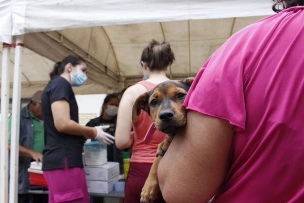 Diario HOY | AutoCan 2022: invitan a vacunación de perro y gatos