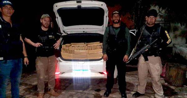 La Nación / Comisan 366 kg de marihuana