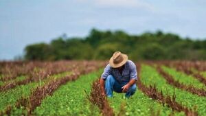 La incertidumbre y la inflación golpean a los agricultores en todo el mundo | Internacionales | 5Días