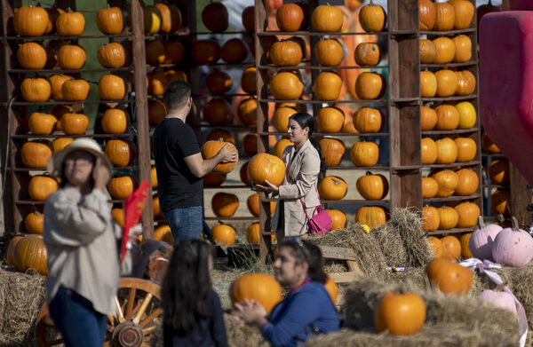 El festival de la tierra y la cosecha llega a la ciudad mexicana de Monterrey - MarketData