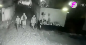Nuevo modus operandi: tortoleros a domicilio | Noticias Paraguay