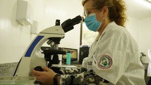 Inversión de casi G. 1.000 millones en clínica Boquerón del IPS
