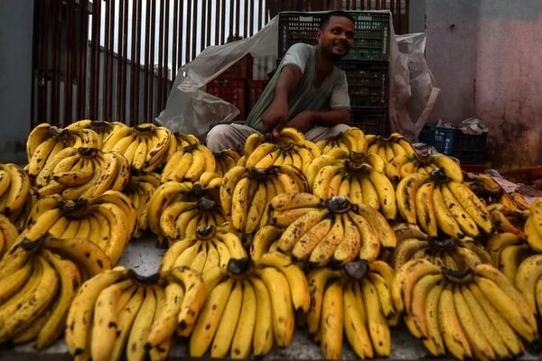 Se perderán vidas si gobiernos no reaccionan ante inflación, dice experto ONU - Mundo - ABC Color