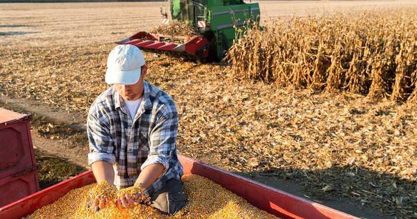 La Nación / Despegue económico dependerá de la producción agrícola y ganadera