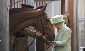 Carlos III pone a la venta los caballos de carrera de la Reina Isabel II