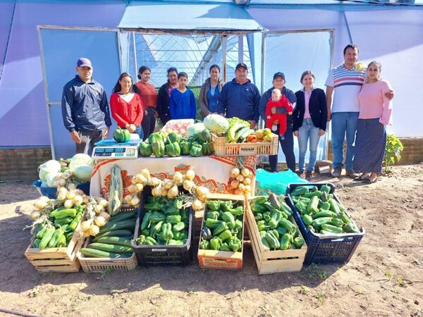 Horticultores de Ayolas mejoran producción con nuevas tecnologías y diversificación