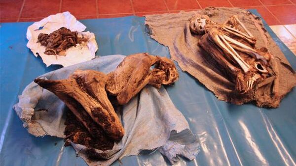 Vaticano devuelve tres momias precolombinas a Perú