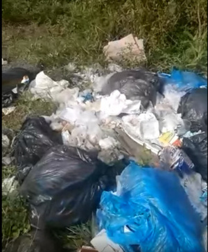 Mallorquinos repudian a los que arrojan basura en la calle - La Clave