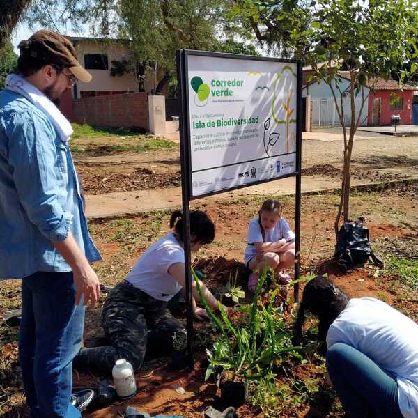 Plantaron la segunda Isla de Biodiversidad en la ciudad de Villa Elisa